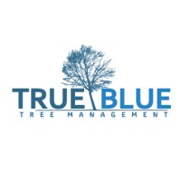 TRUE BLUE TREE MANAGEMENT Employee Glenn Archer's profile photo