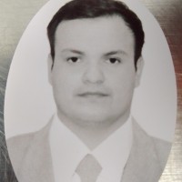 Comex Employee Rubén Ivan Borges Peña's profile photo