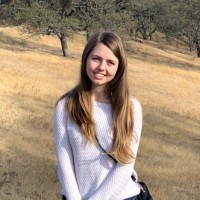 New York University Employee Ellen Persson's profile photo
