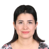 Syrian Youth Assembly - SYA Employee Weam Aldiban's profile photo