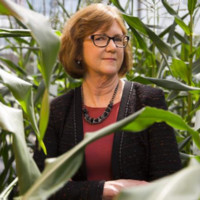 Pluton Biosciences Employee Sharon Berberich's profile photo