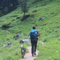 Clocr Inc. Employee Megha Singh's profile photo