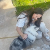 Lords & Labradors Employee Megan Willis's profile photo