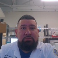 Marco Jacinto Email & Phone Number