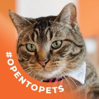 Project7 Design Employee Kevin O'Connor's profile photo