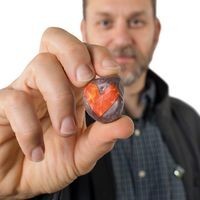 Cascade Systems Technology Employee Thomas Robinson's profile photo