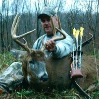Wade Hall Email & Phone Number