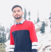 SEO Content Writer Employee Syed Shah's profile photo