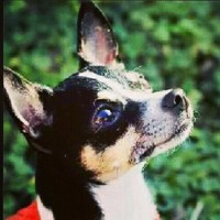 Knox County R1 School District Employee Jennifer Peters's profile photo