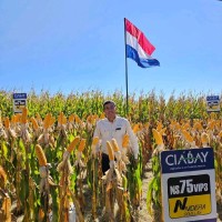 ciabay Employee Hugo Enriquez's profile photo