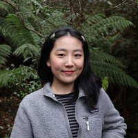 WebOracle Employee Holly Hou's profile photo