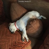 Waggoner Engineering Employee Joe Waggoner's profile photo