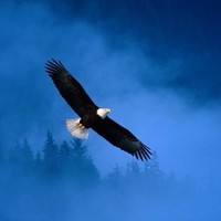 Smith Enterprises Employee Reginald Smith's profile photo