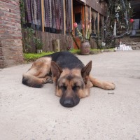 Duong Nguyen's profile photo