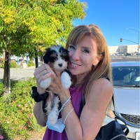 Joanna Meiseles Email & Phone Number