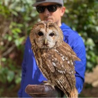 gnet agency Employee John Fleming's profile photo
