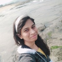 Blue Ocean Systems Employee Snehal Morkal's profile photo