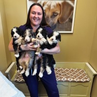 Michelle Brauneis Email & Phone Number
