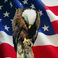 Akima Global Services, LLC Employee Thomas Crosslin's profile photo