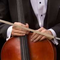 Classictic Employee Company's profile photo