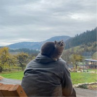 Start2Pay LLC Employee Alex Stupak's profile photo
