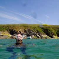 Fourth Element Ltd Employee Anne McCabe's profile photo