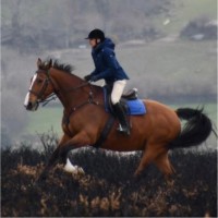 Michael Williams Email & Phone Number