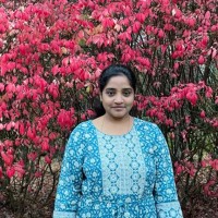 Carman Solutions Group Employee Yasoda Pulluru's profile photo
