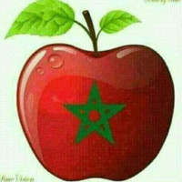 FOMAC Employee Tihamih Hind's profile photo