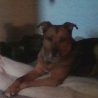 IT-Recycle LLC Employee A.c. Bloy's profile photo