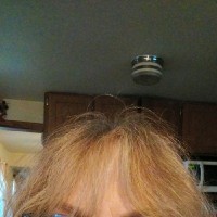 Townsend School District Employee Sheriann Fredericks's profile photo