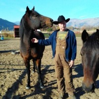 Norson Construction Ltd. Employee Brian Lucht's profile photo