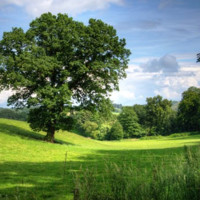 Landscape Development, Inc. Employee Dudley Mallinson's profile photo