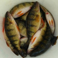 Metal Craft & Riverside Machine and Engineering Employee Jim Hable's profile photo