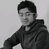 sktime Employee Arindol Sarkar's profile photo
