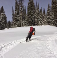 Momentum AMP (by NowCerts) Employee Peter Germanov's profile photo