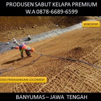 Cocomelody Employee Jual Barat's profile photo