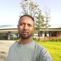 Sun Peak Metals Employee Yimam Ahmed's profile photo