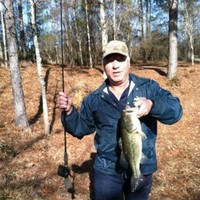 Don Timms Email & Phone Number