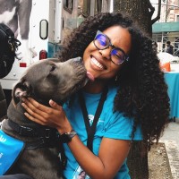 Jasmine Hollis Email & Phone Number
