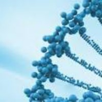 Game Developer Employee Neethu A's profile photo