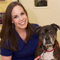 Meghan Holland Email & Phone Number