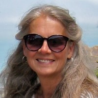 Saint Francis High School Employee Sylvan Adams's profile photo