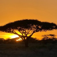 Lightholder Consulting LLC Employee Scott Philips's profile photo