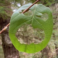 Seagen Employee Doug Klaiber's profile photo