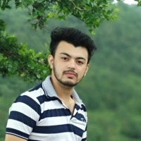 Software Engineer Employee Vivek Negi's profile photo
