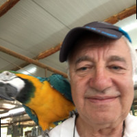 Vintage Wealth Advisors Employee Graham Newman's profile photo