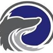 Wolf International Employee Kareem H's profile photo