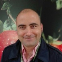 Iberfruta S.A. Employee Damian Gonzalez's profile photo