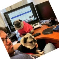 Colmena Seguros Employee Pablo Alberto Zapata A's profile photo